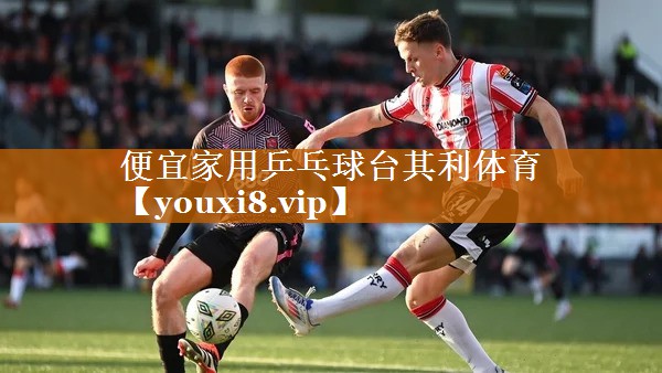 便宜家用乒乓球台其利体育