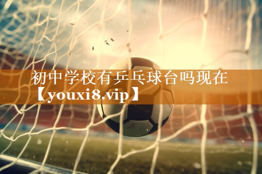 初中学校有乒乓球台吗现在