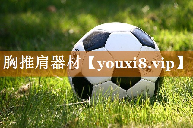 胸推肩器材 胸推肩器材